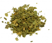 Ginkgo biloba 50 gram